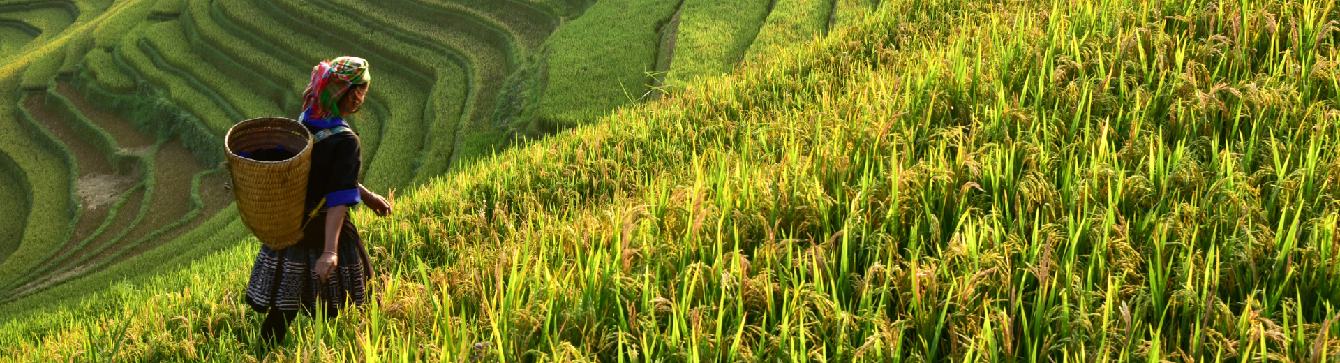 Hoe langer je reist, hoe meer korting