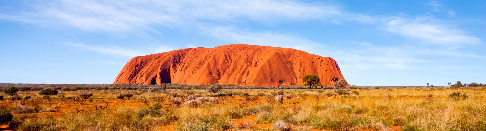 Alles wat je wilt weten over: Oceanië