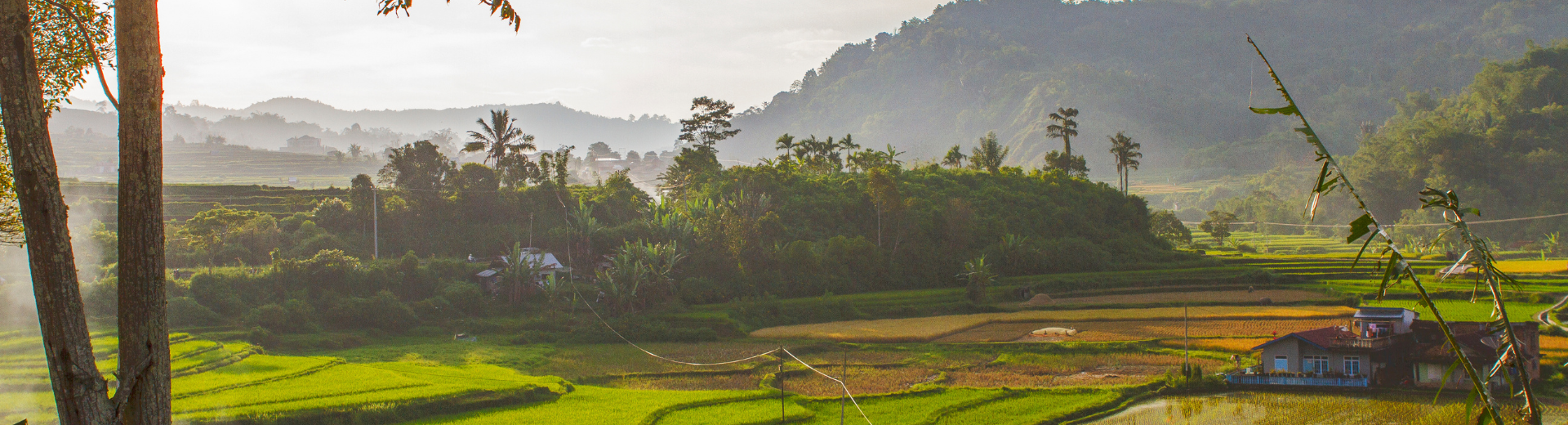 SGR, ANVR en Calamiteitenfonds