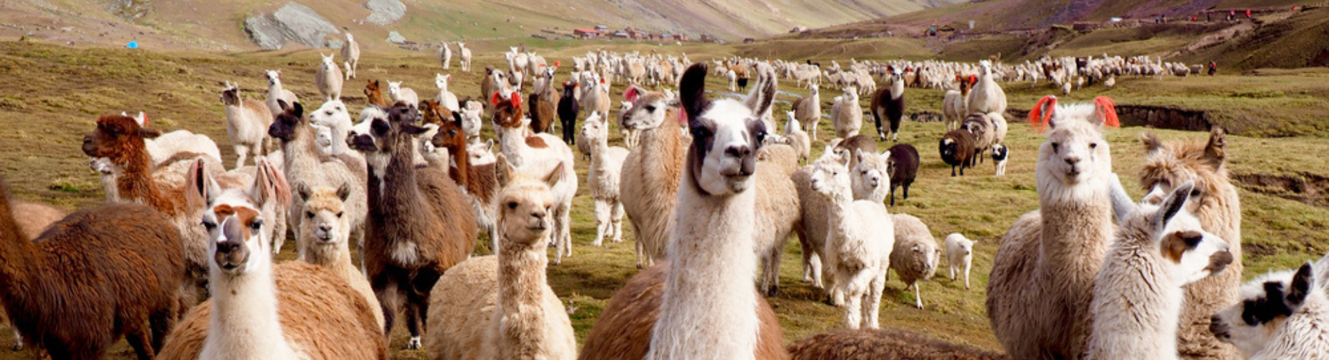 Een reis langs de hoogtepunten van Peru