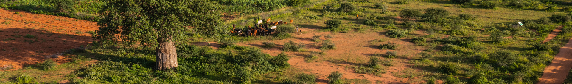  Wij dragen bij aan de missie van Justdiggit