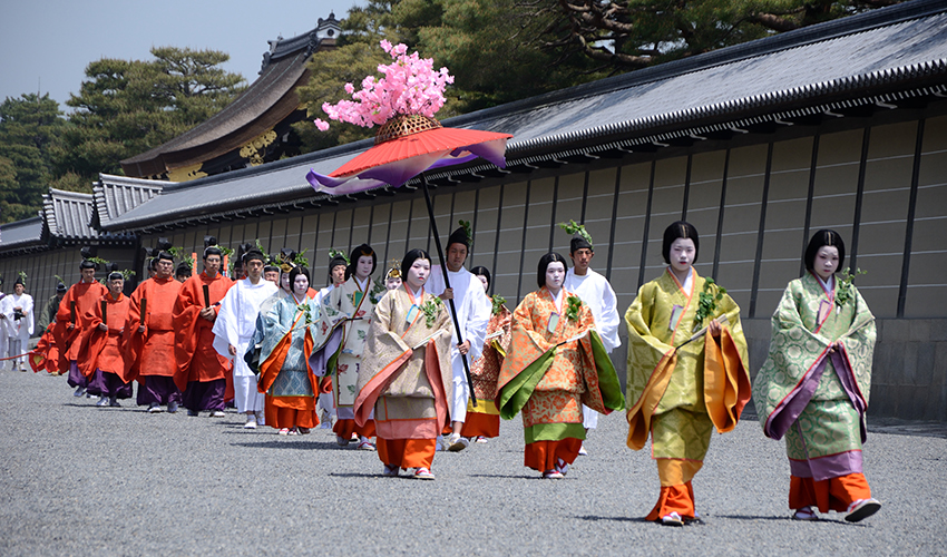 Aoi Matsuri
