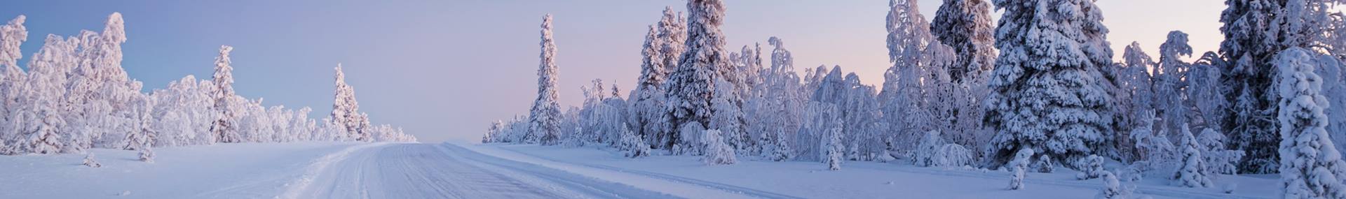 Familiereizen naar Finland