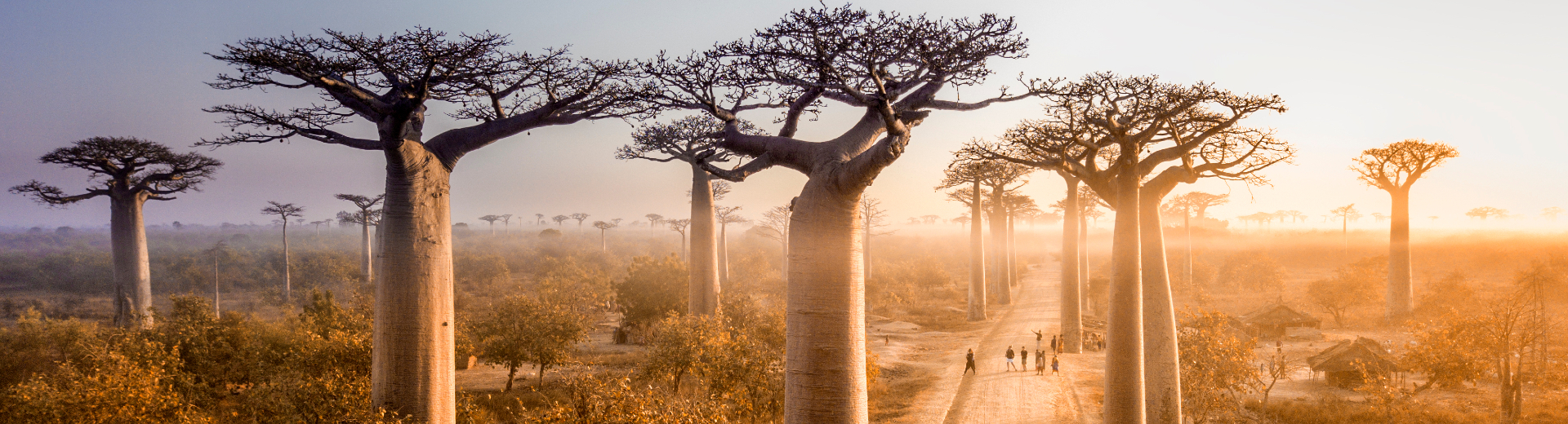 Reizen naar Madagascar