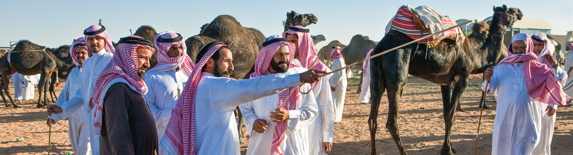 Groepsreizen naar Saoedi Arabië