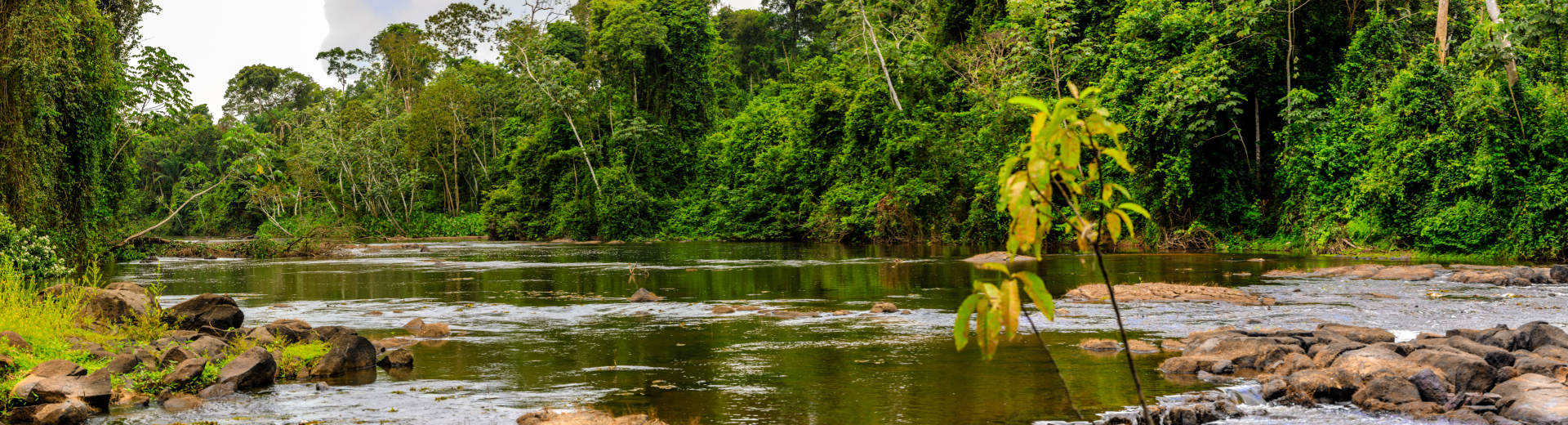 Reizen naar Suriname