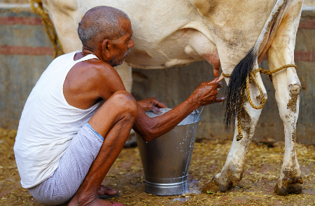 Rondreis ONBEKEND NOORD-INDIA - 16 dagen; Bihar, Uttar Pradesh en Madhya Pradesh