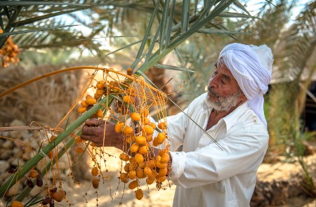 Rondreis EGYPTE - 22 dagen; Verrassend Egypte