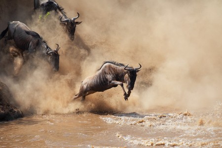 Rondreis KENIA & TANZANIA - Internationale Groepsreis - 14 dagen; Hoogtepunten van Oost-Afrika