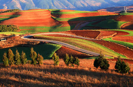 Rondreis CHINA: YUNNAN - 22 dagen; Langs de oude theeroute door Zuid-China