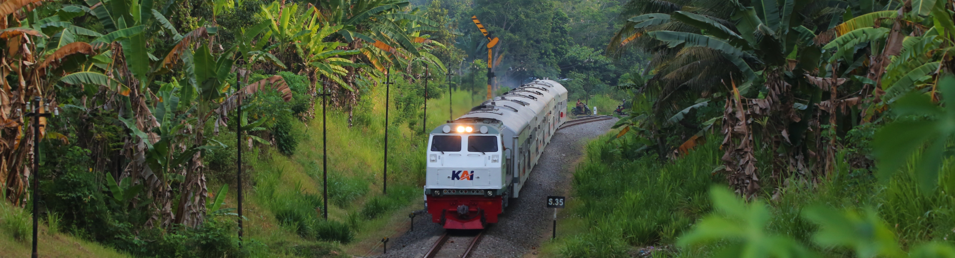 Rondreis Indonesië | Java en Bali | Koning Aap