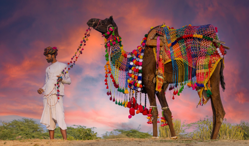 Pushkar Fair
