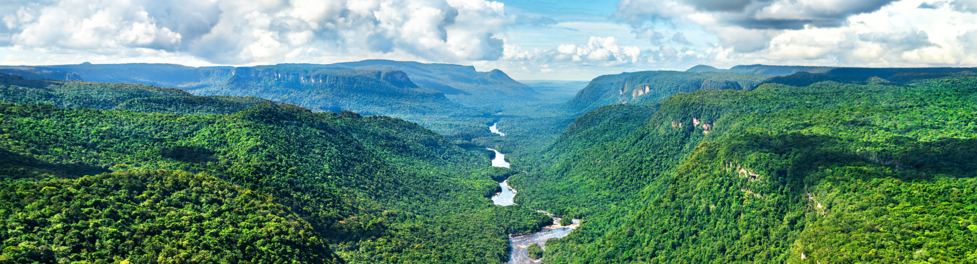 Groepsreizen naar Guyana