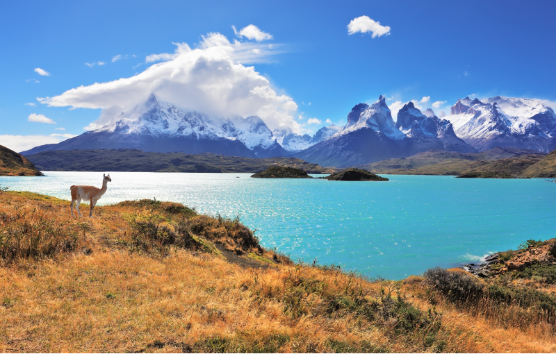 Rondreis PATAGONIË - 24 dagen; Einde van de wereld