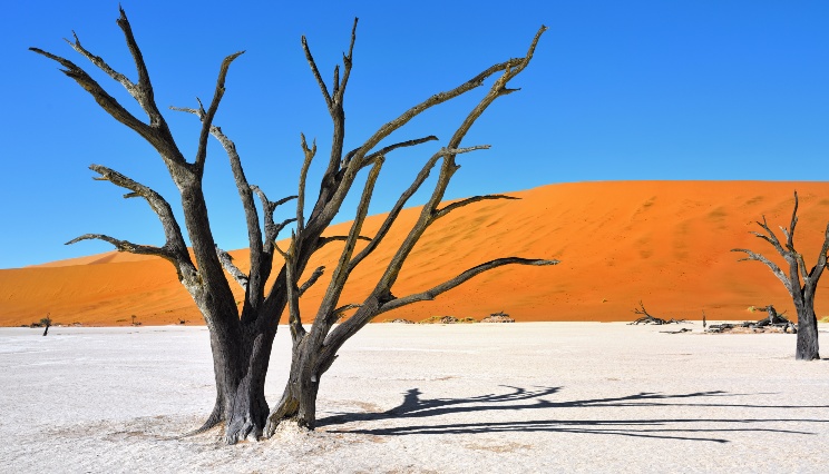 Sossusvlei en Deadvlei