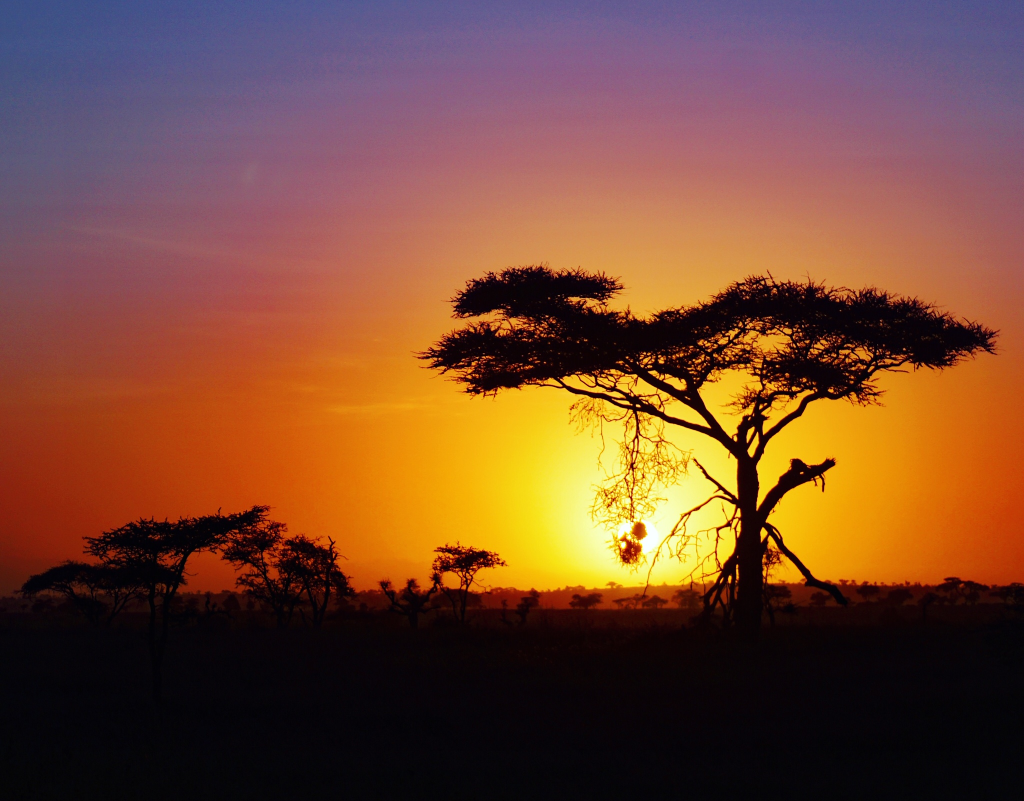 Kenia 2018